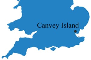 The incident occurred in Canvey Island, Essex, on January 26